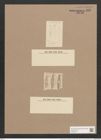 Navicula lanceolata var. arenaria (Donk.) V.H. (de-Toni-Nr.: Genus 1, Species 141) Zeichnungen Sammlung Grunow Nr. 442 (NHMW-BOT-W0366760)